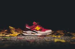 Ronnie Fieg x New Balance 530 “Central Park"